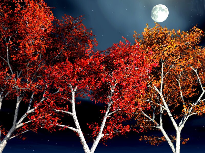 Trees with Autumn Leaves — Red, Serene