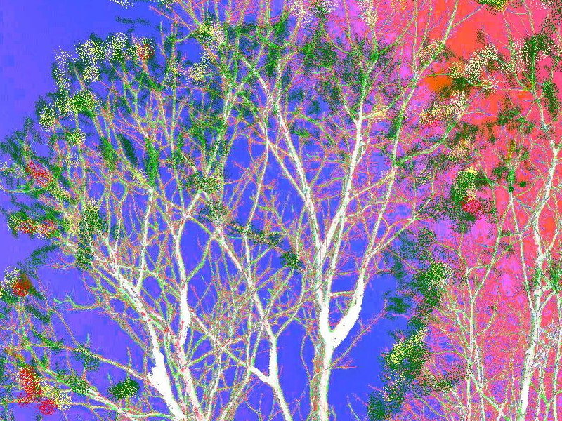 Trees with Bare Branches