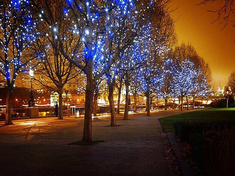 Trees with Blue Lights — Festive