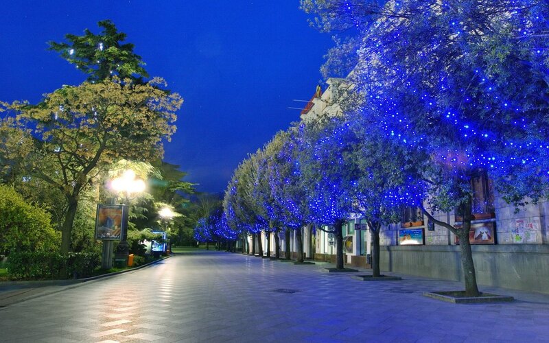 Trees with Blue Lights — Serene