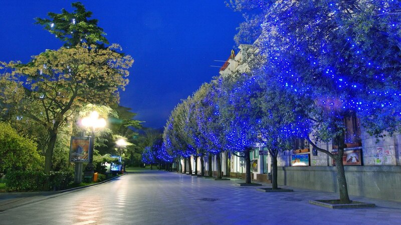 Trees with Blue Lights