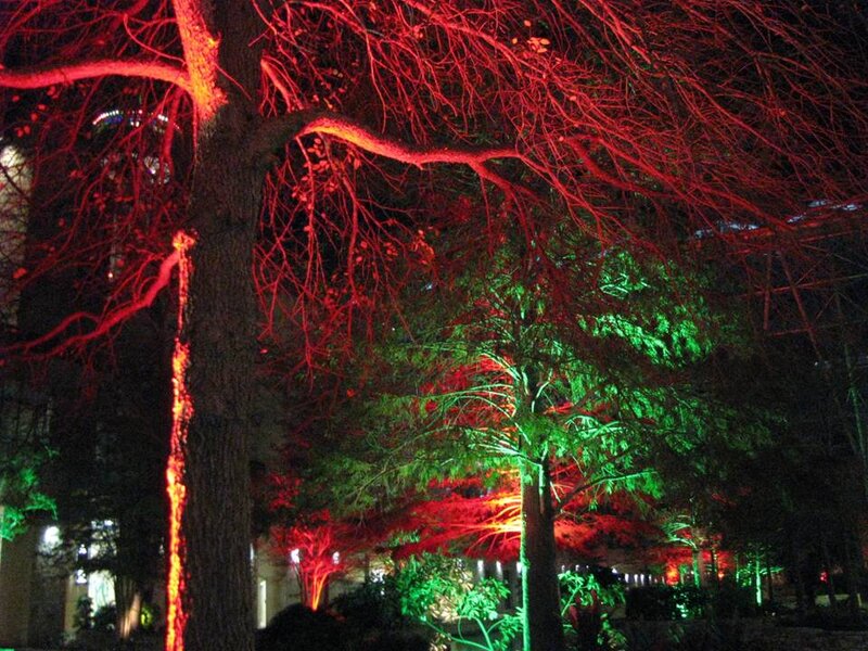 Trees with Colored Lights