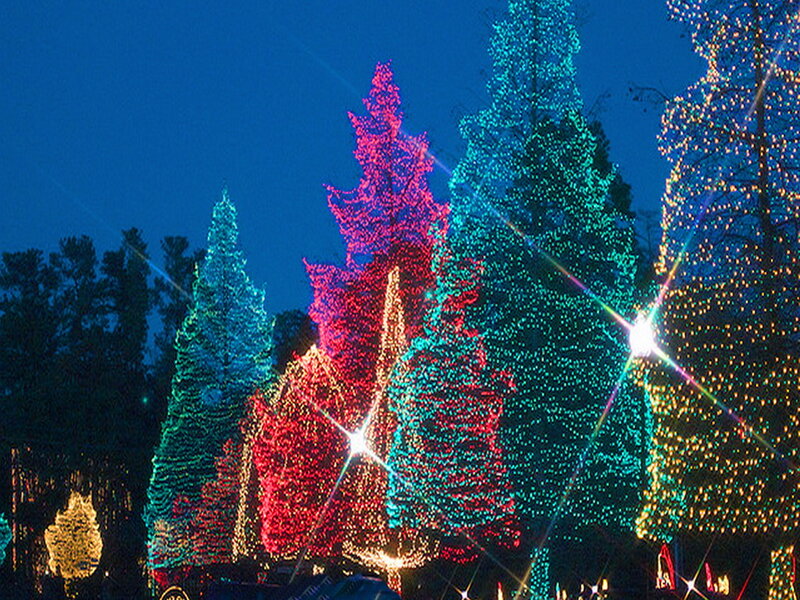 Trees with Holiday Lights — Blue