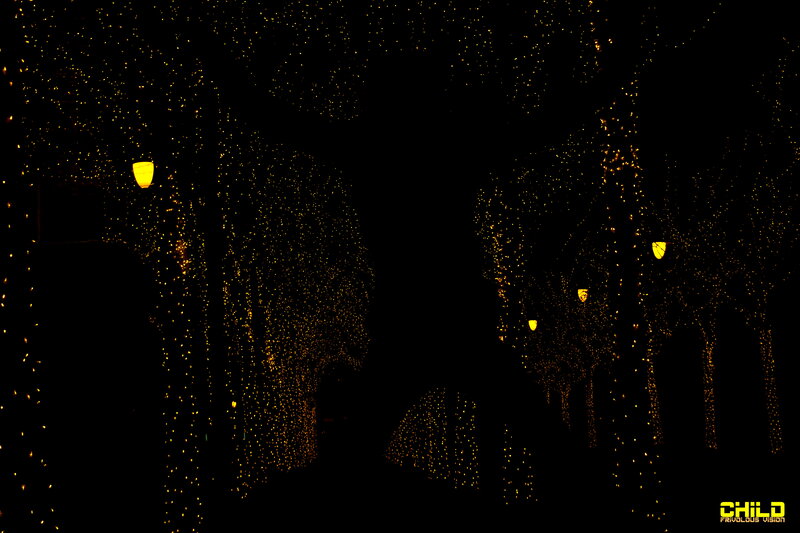 Trees with Lights at Night — Black