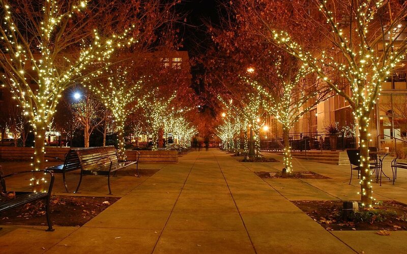 Trees with Lights at Night — Yellow, Calm