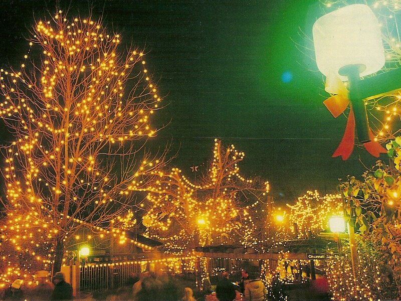 Trees with Lights at Night — Yellow