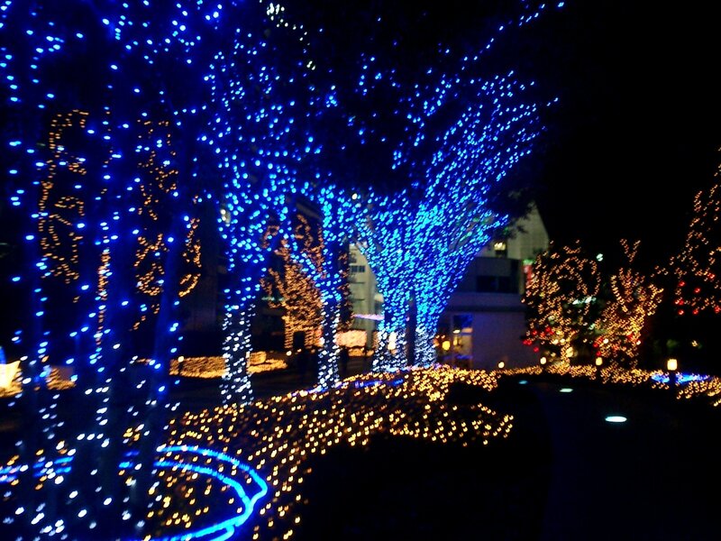 Trees with Lights — Blue