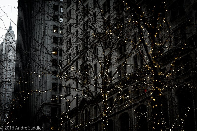 Trees with Lights in City