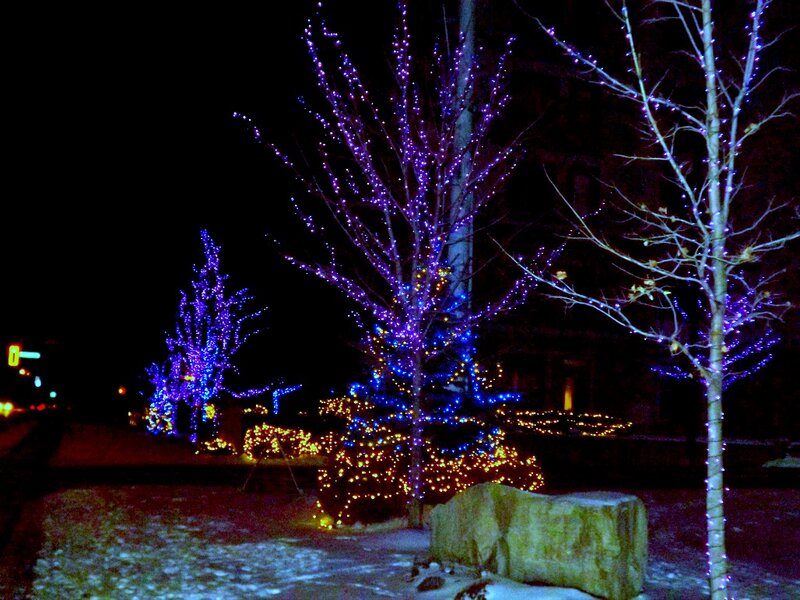 Trees with Lights — Purple