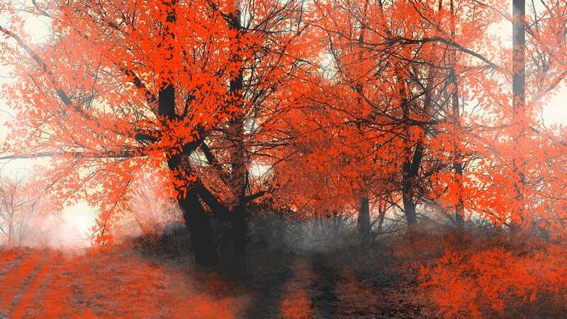 Trees with Red Leaves — Mysterious