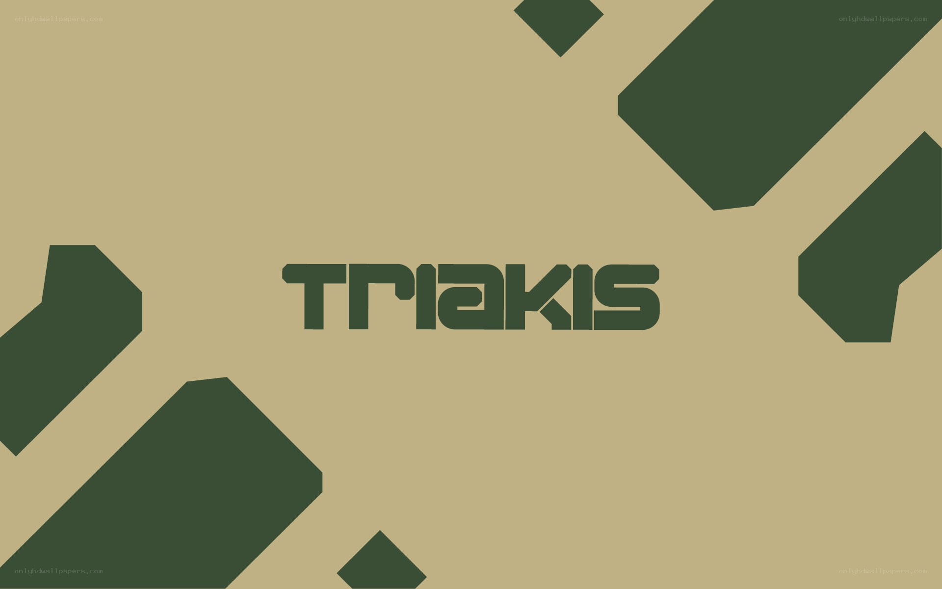 Triakis logo design