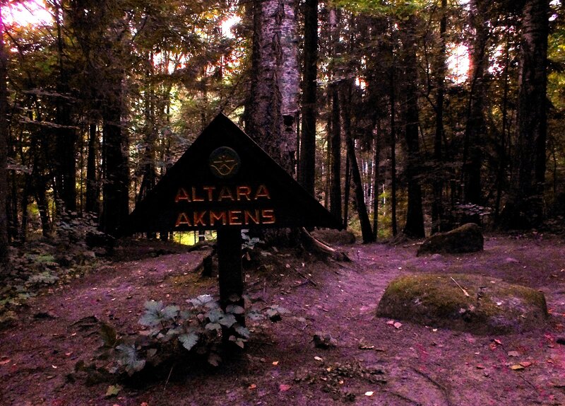 Triangular Sign in Forest — Purple