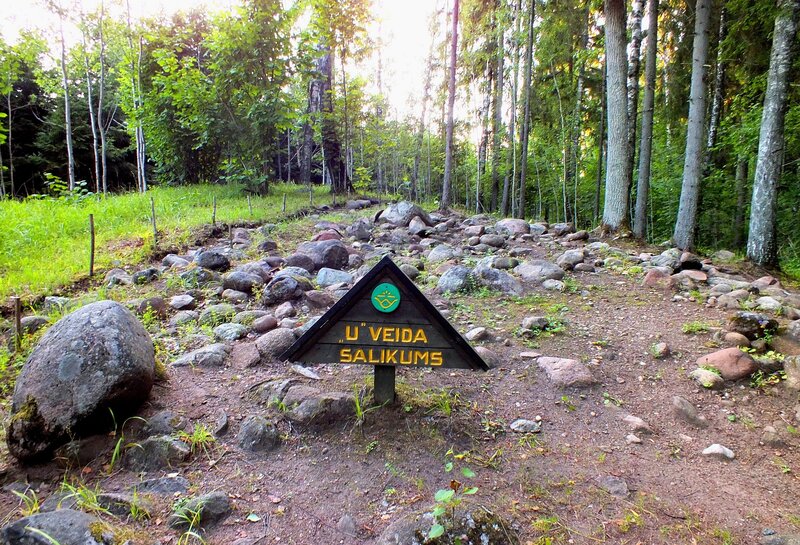 Triangular Sign in Forest