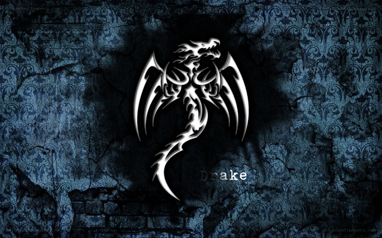 Tribal dragon logo on dark wall