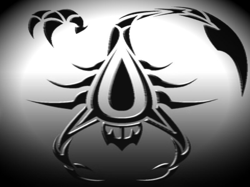 tribal scorpion design