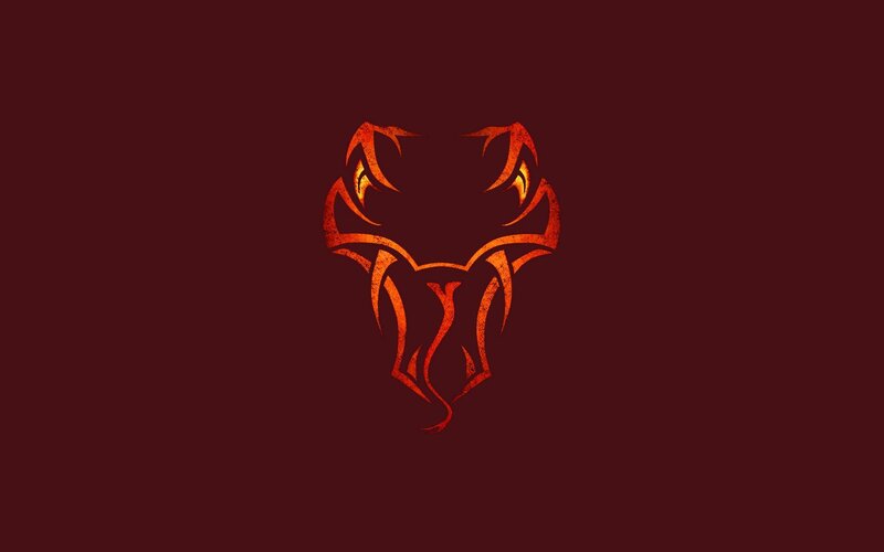 tribal snake head design