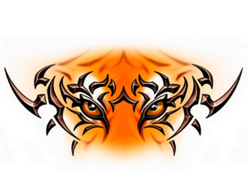 tribal tiger eyes design