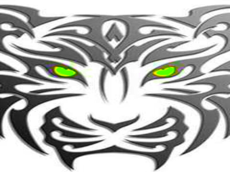 Tribal Tiger Face