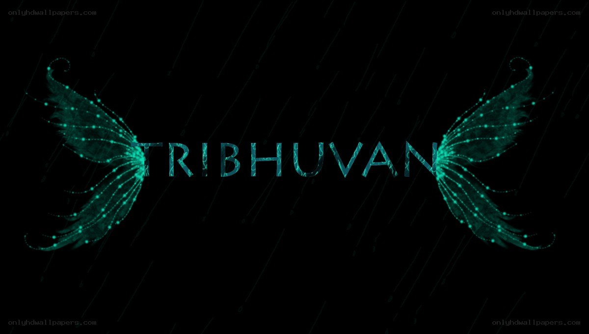 Tribhuvan with glowing wings