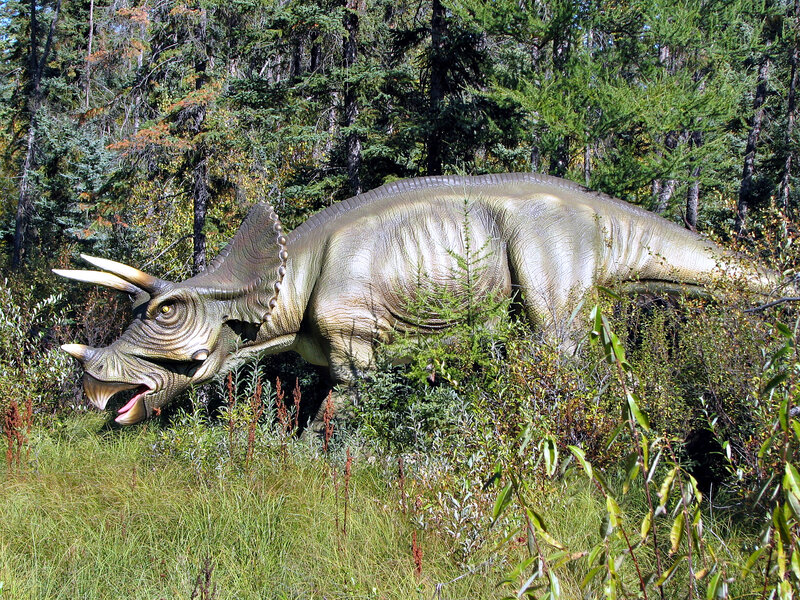 Triceratops Dinosaur