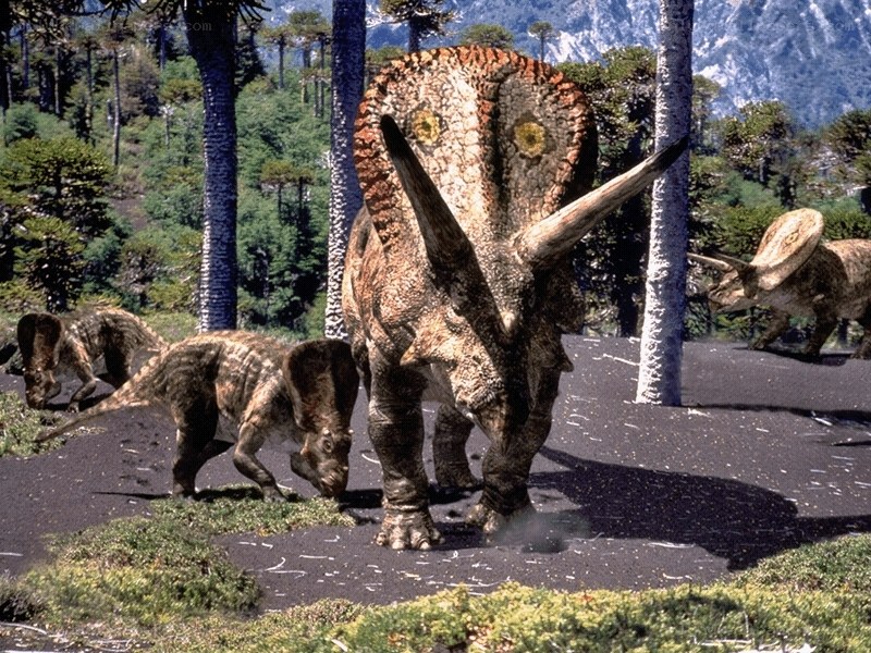 Triceratops herd in prehistoric forest