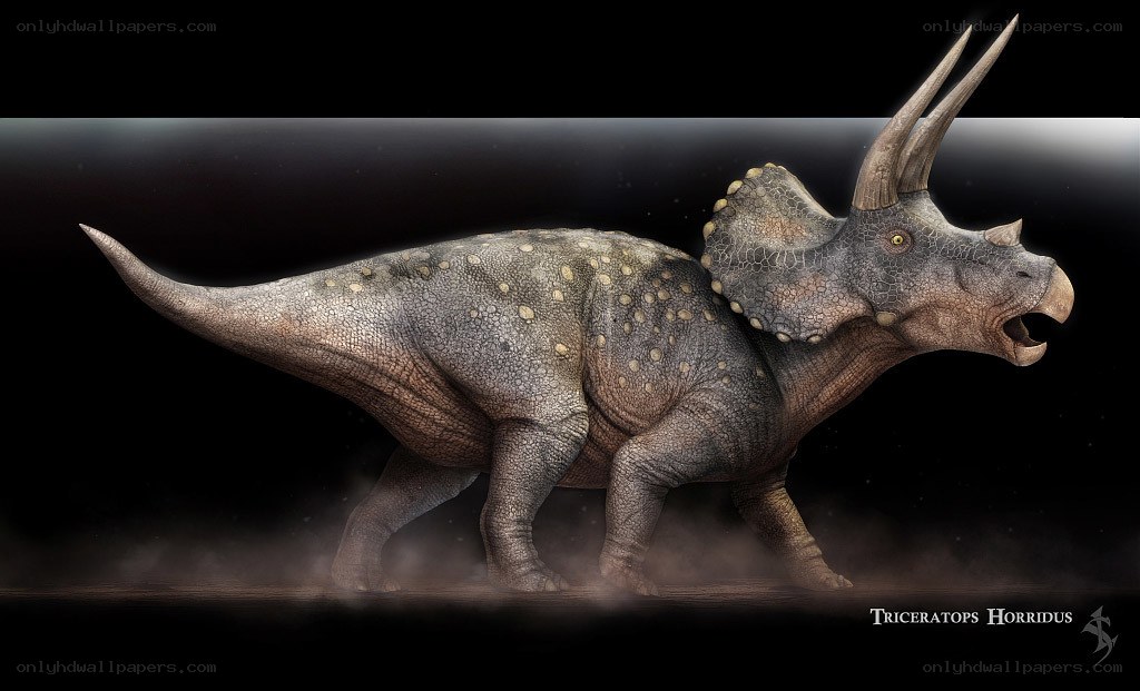 Triceratops Horridus dinosaur