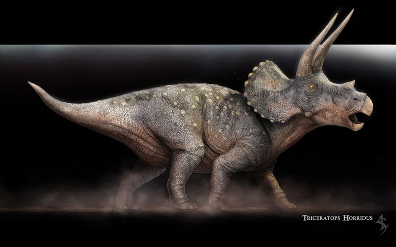 Triceratops Horridus — Gray