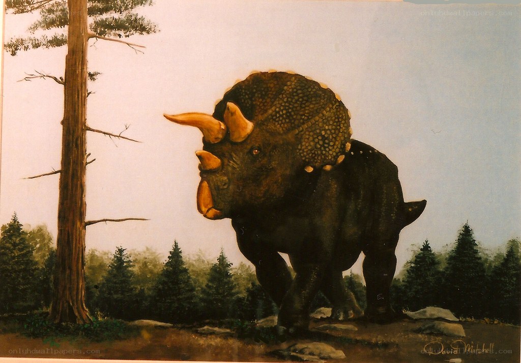 Triceratops in a forest