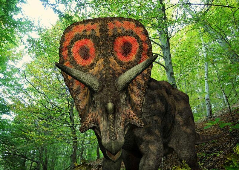 Triceratops in Forest