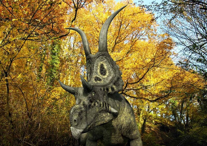 Triceratops in Forest — Yellow