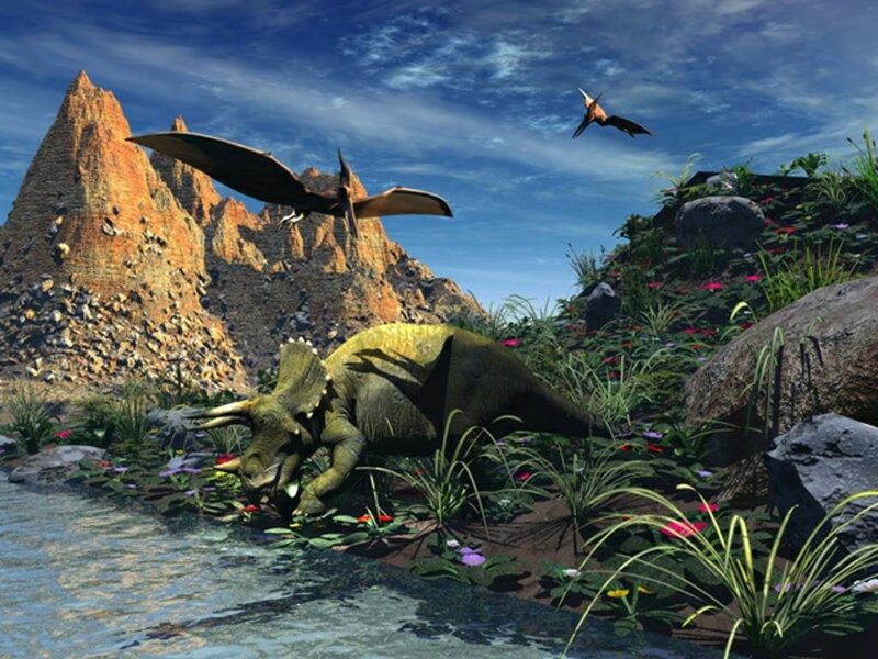 Triceratops Near River
