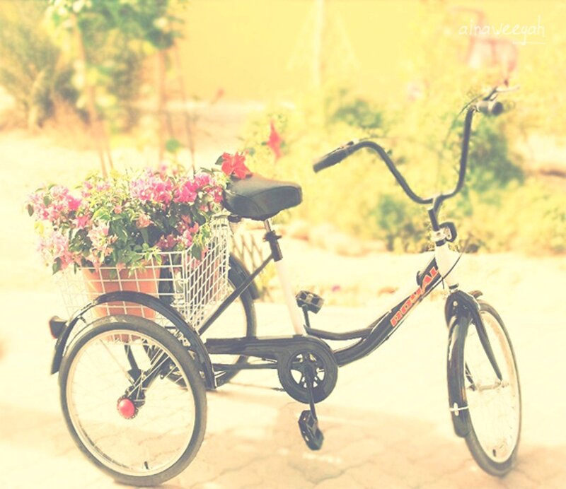 Tricycle with Flower Basket