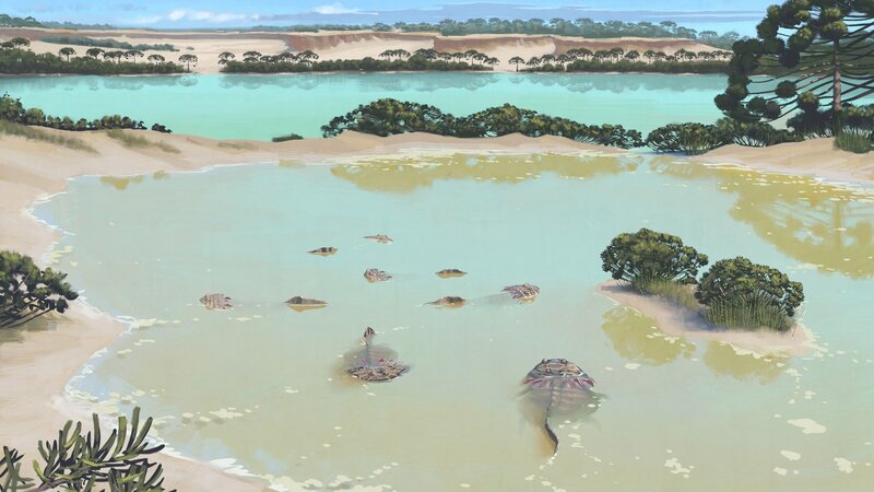 Trilobites in Shallow Water