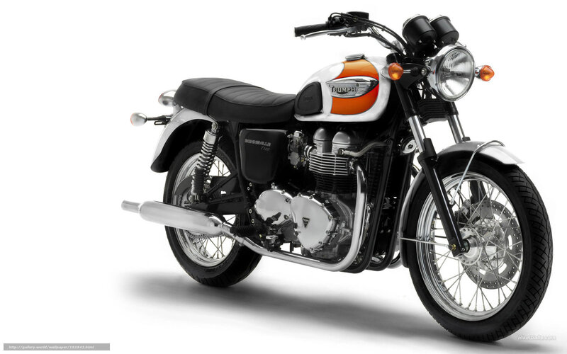 Triumph Bonneville Motorcycle — White, Neutral