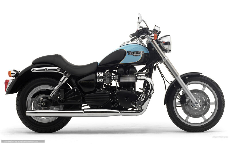 Triumph Motorcycle — Black, Neutral