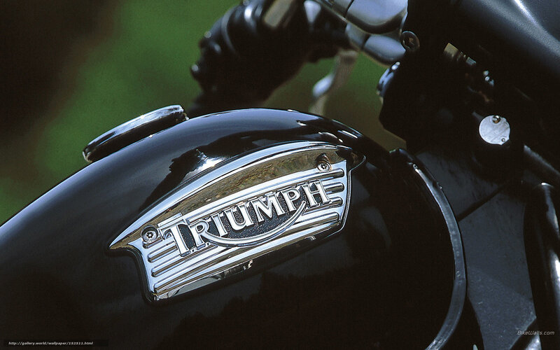 Triumph Motorcycle Emblem — Black