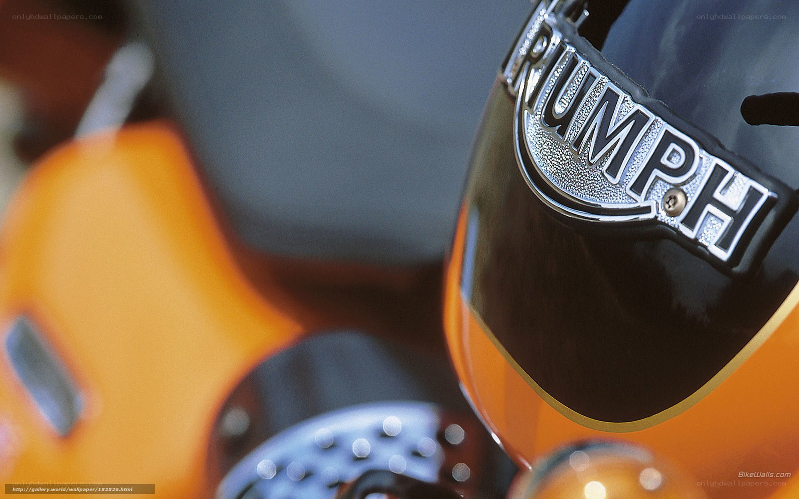 Triumph motorcycle emblem close-up