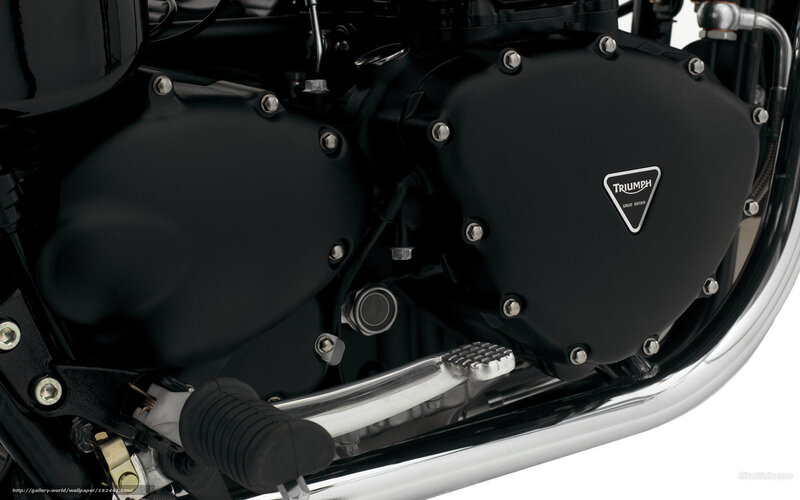 Triumph Motorcycle Engine — Black