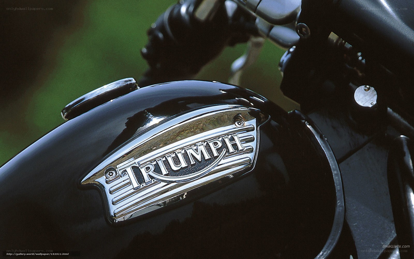 Triumph motorcycle fuel tank
