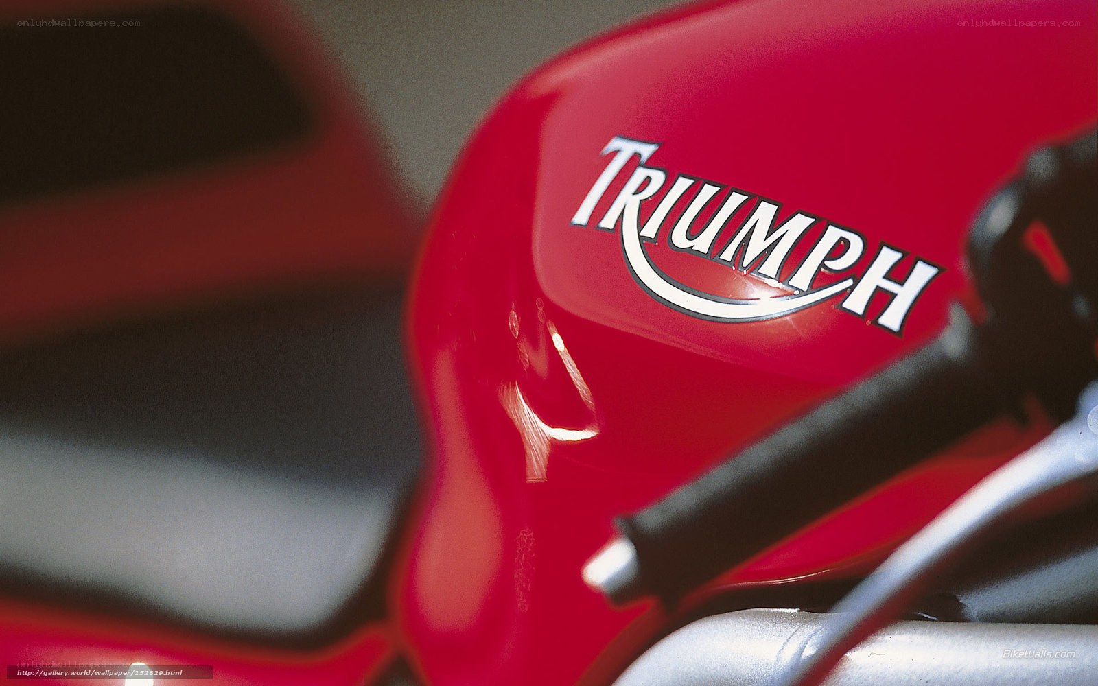 Triumph motorcycle fuel tank