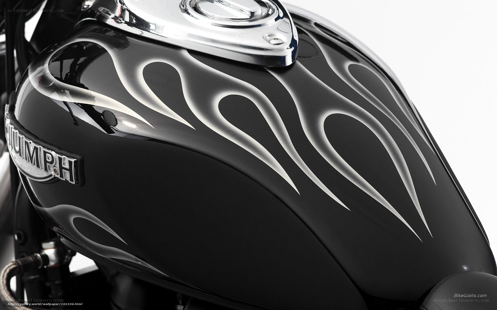 Triumph motorcycle fuel tank