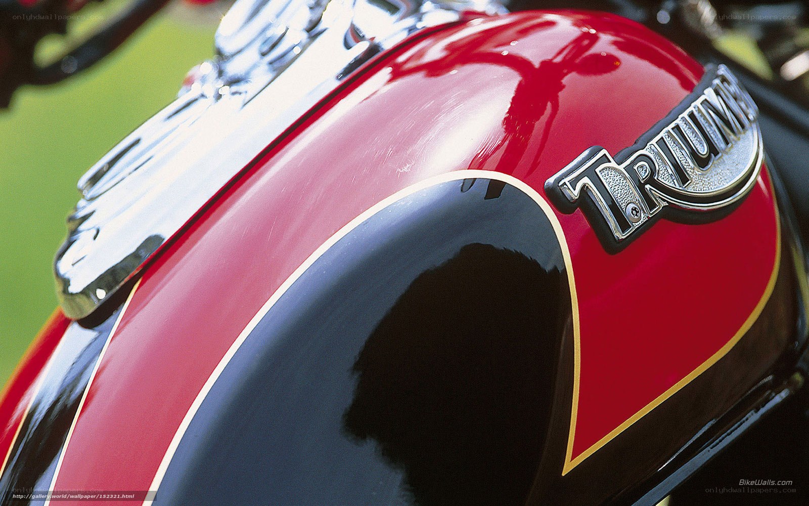 Triumph motorcycle fuel tank