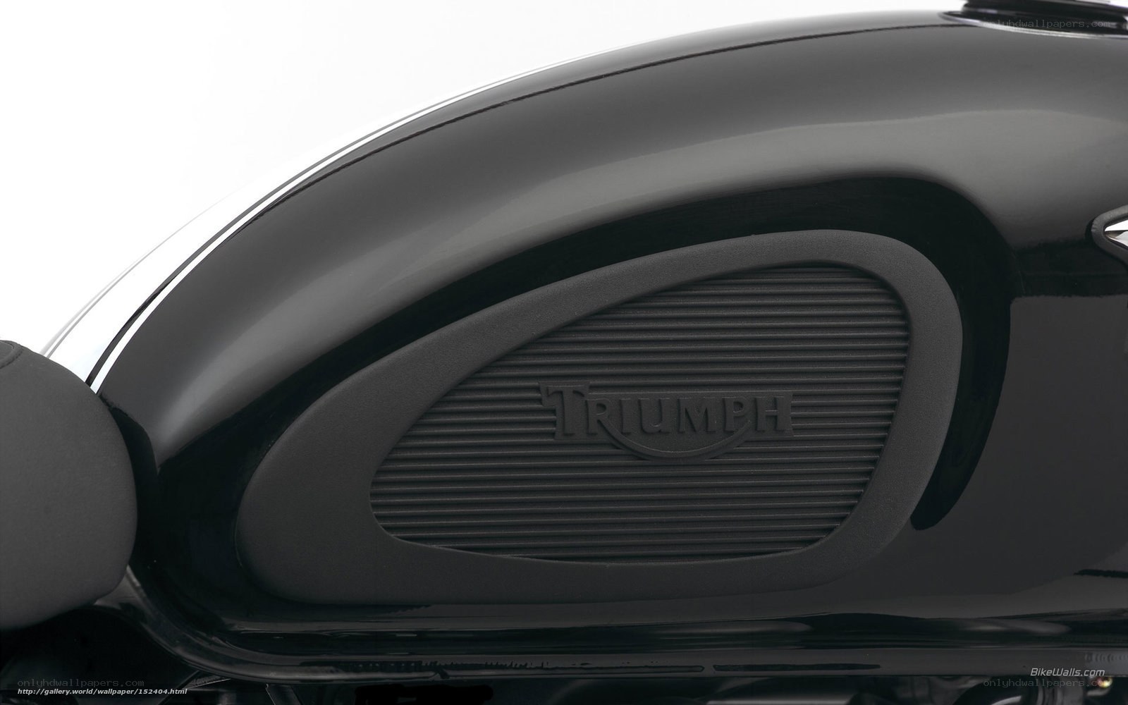 Triumph motorcycle fuel tank