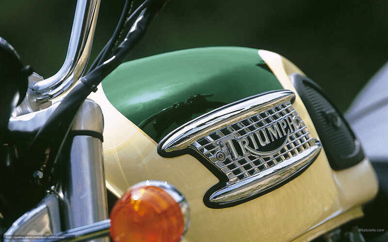 Triumph Motorcycle Fuel Tank — Green