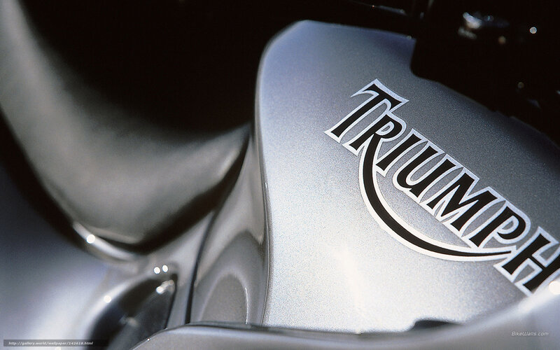 Triumph Motorcycle Fuel Tank — Silver