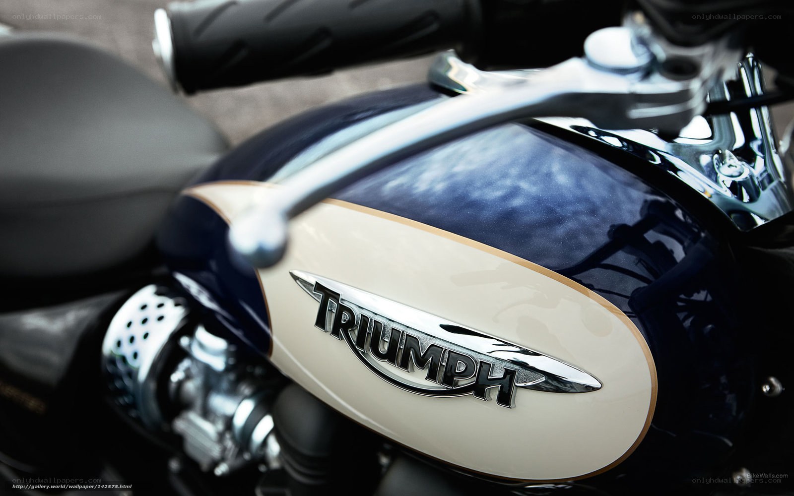 Triumph motorcycle fuel tank