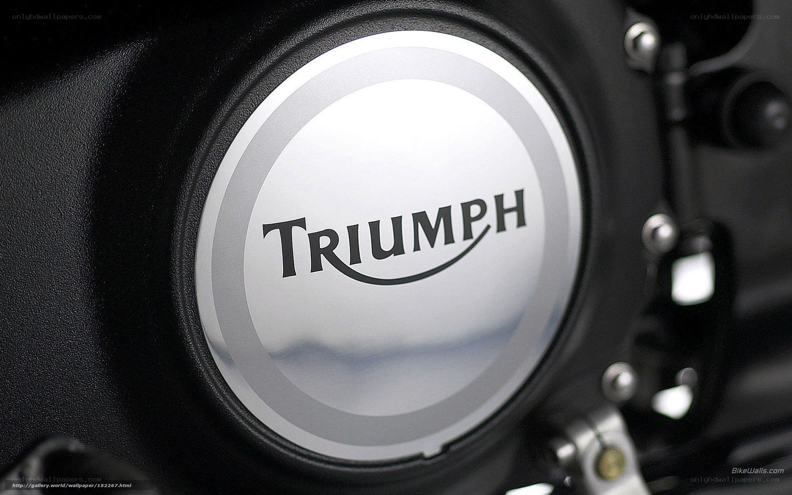 Triumph motorcycle logo