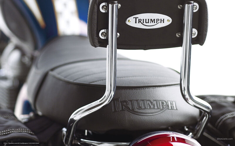Triumph Motorcycle Seat — Black