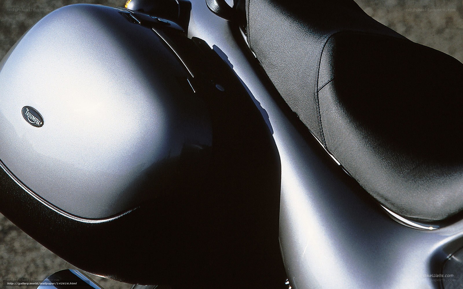 Triumph motorcycle seat detail