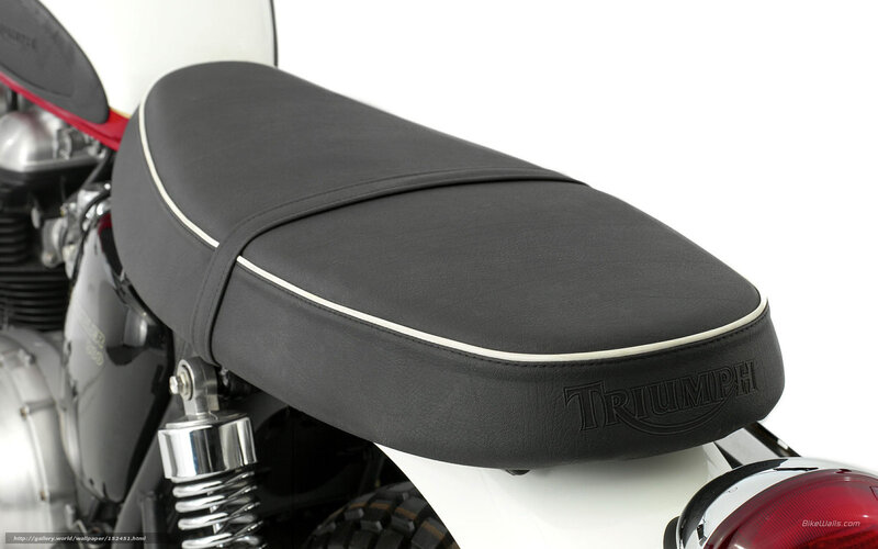 Triumph motorcycle seat